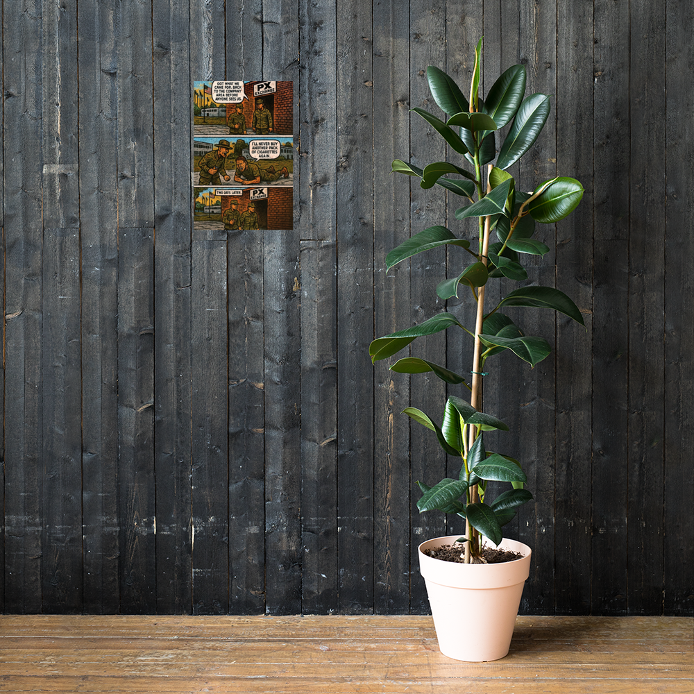 Got What We Came for: 12 in by 18 in glossy poster on a dark wooden wall beside a plant; Printful room mockup.