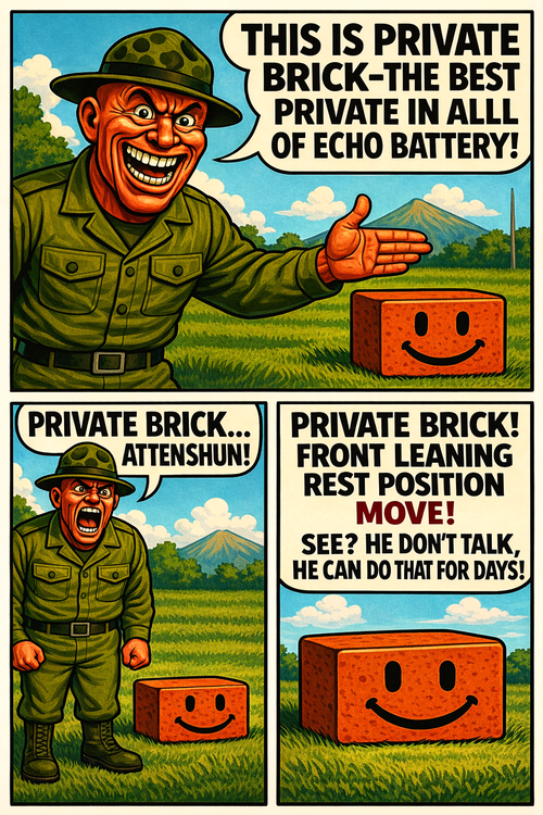 This Is Private Brick